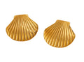 Seashell Earrings