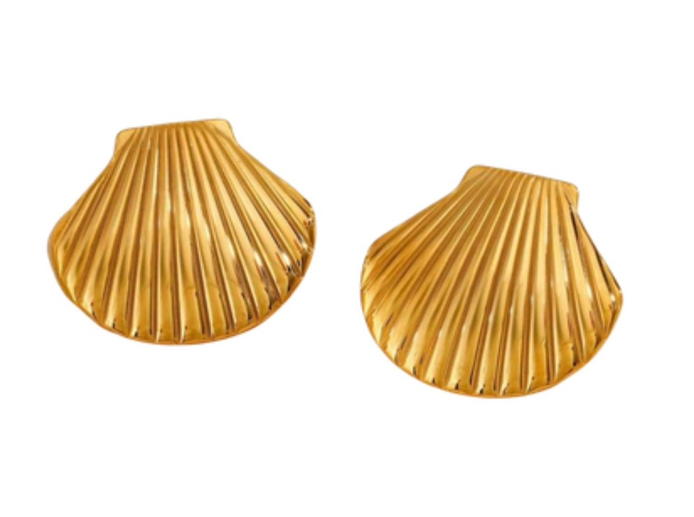 Seashell Earrings