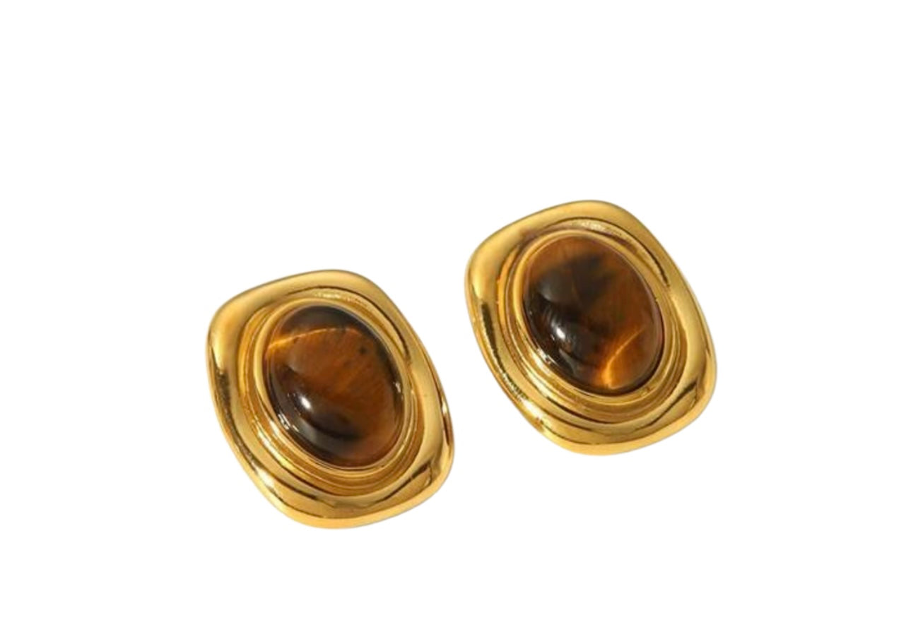 Tiger Eye Earrings